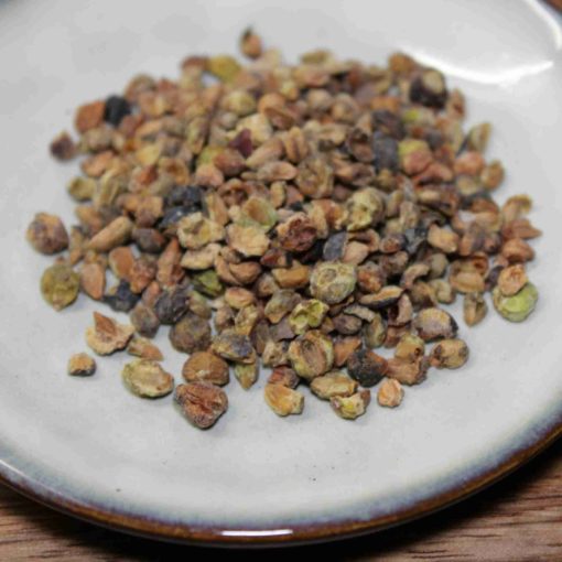 Graines séchées colorées sur une assiette en céramique blanche, prêtres pour l'analyse botanique.