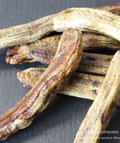 Banane gros michel Cameroun - Les épices curieuses