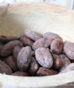 Fèves Cacao Trinitario - Les épices curieuses