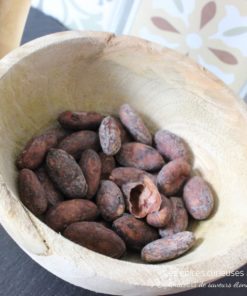 Fèves Cacao Trinitario - Les épices curieuses