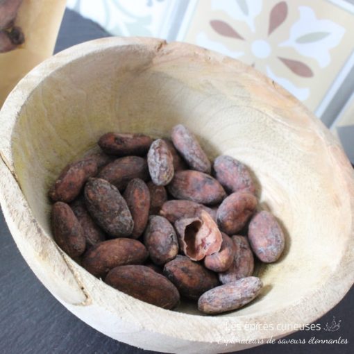Fèves Cacao Trinitario - Les épices curieuses