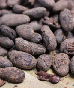 Fèves de Cacao Torréfiées Bio – Pérou