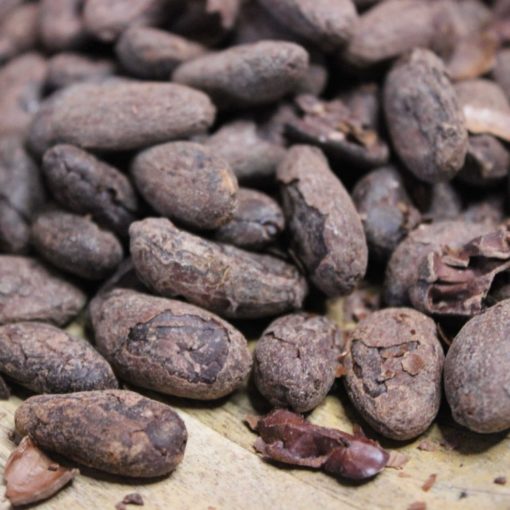 Fèves de Cacao Torréfiées Bio – Pérou