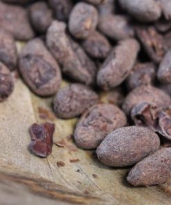 Fèves de Cacao Torréfiées Bio – Pérou