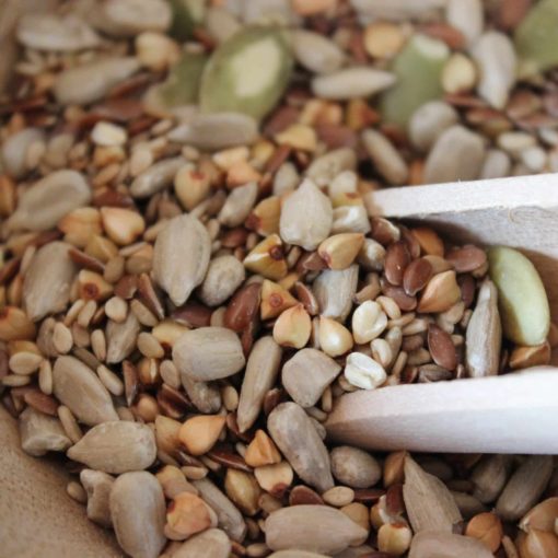 Mélange Pain salade Bio - Les épices curieuses