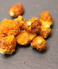 Physalis Madagascar - Les épices curieuses
