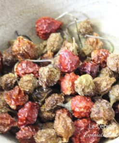 Piment Cabri Madagascar - Les épices curieuses
