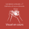 Anis étoilée Badiane - Les épices curieuses