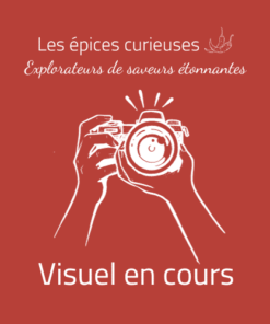 Anis étoilée Badiane - Les épices curieuses