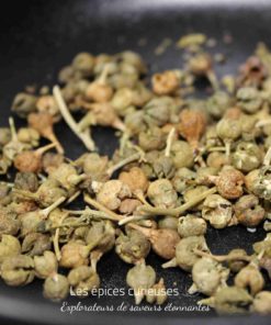 Baies séchées de poivre de Sichuan sur fond sombre, utilisées pour la cuisine asiatique et leurs propriétés uniques.