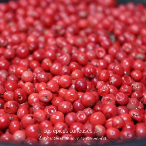 Grains de poivre rose frais en gros plan, utilisés pour leurs saveurs délicates en cuisine.