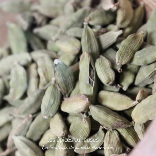 Cardamome verte en graines entière bio - Les épices curieuses