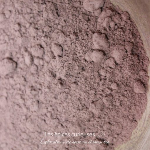 Chocolat en poudre Criollo - Les épices curieuses