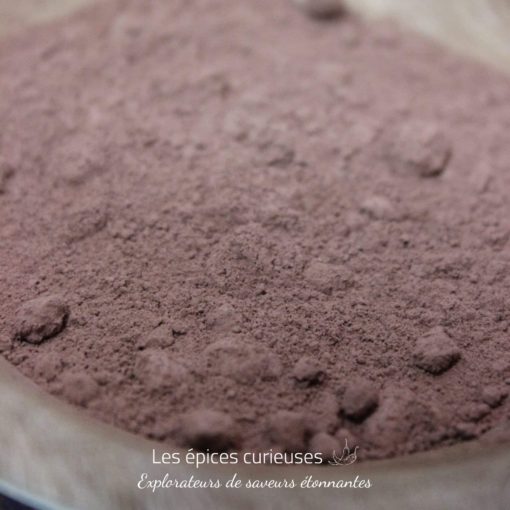 Chocolat en poudre Criollo - Les épices curieuses