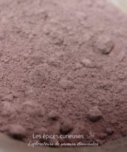 Chocolat en poudre Criollo - Les épices curieuses