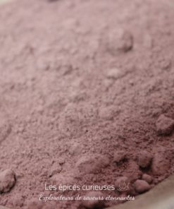 Chocolat en poudre Criollo - Les épices curieuses