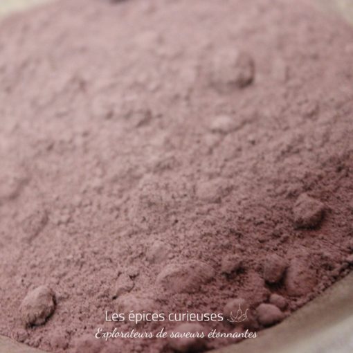 Chocolat en poudre Criollo - Les épices curieuses