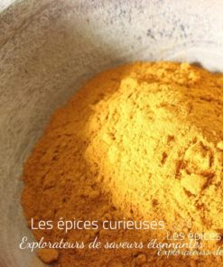 Curcuma mère bio de La Réunion - Les épices curieuses