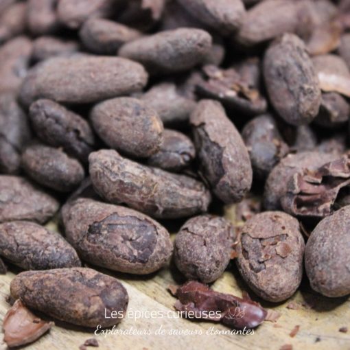 Fèves de Cacao Torréfiées Bio – Pérou
