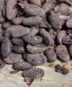 Fèves de Cacao Torréfiées Bio - Pérou - Les épices curieuses