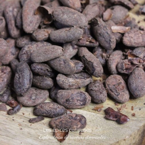 Fèves de Cacao Torréfiées Bio - Pérou - Les épices curieuses