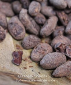 Fèves de Cacao Torréfiées Bio – Pérou
