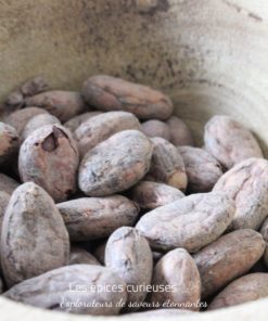 Fèves de Cacao Nacional - Les épices curieuses