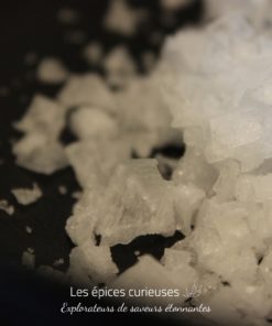 Sel en gros plan avec texture cristalline, parfait pour cuisine gourmet ou présentation gastronomique.