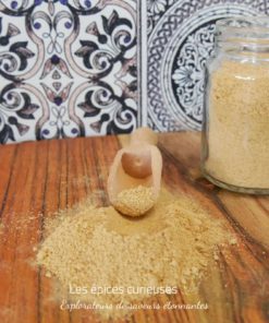 Gingembre en poudre - Les épices curieuses