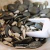 Assemblage de graines pour salade - Les épices curieuses