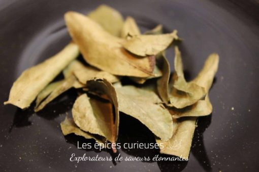 Kaloupilé ou Feuilles de curry en feuille entière - Les épices curieuses