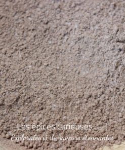Mélange chocolat chaud - Les épices curieuses