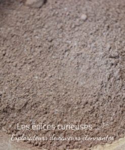 Mélange chocolat chaud - Les épices curieuses