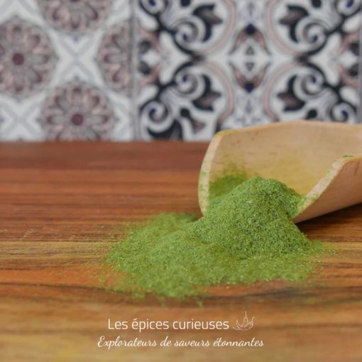 Moringa Oleifera - Les épices curieuses