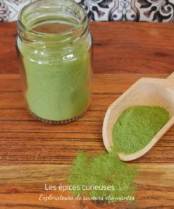 Moringa Oleifera - Les épices curieuses