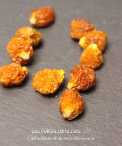 Physalis Madagascar - Les épices curieuses