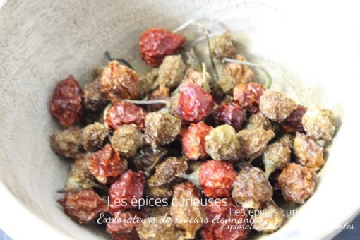 Piment Cabri Madagascar - Les épices curieuses