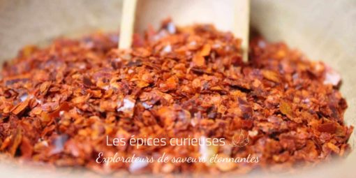 Piment de Cayenne - Les épices curieuses