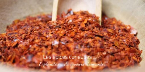Piment de Cayenne - Les épices curieuses