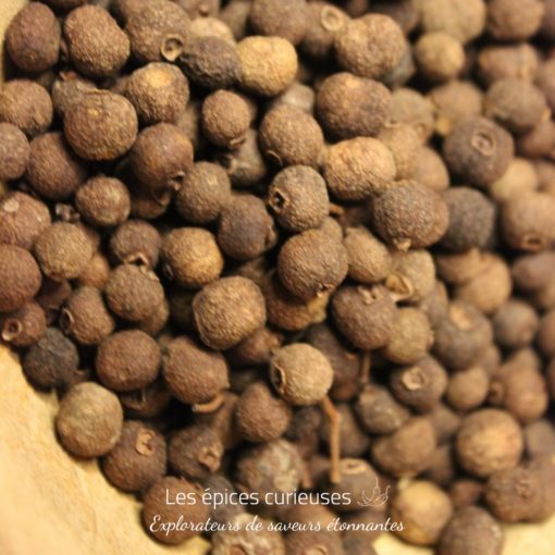Piment de la Jamaïque ou Poivre de la Jamaïque - Les épices curieuses