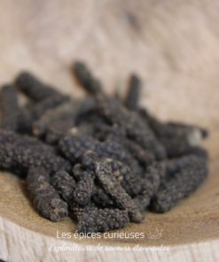 Poivre long du Népal Poivre choco - Les epices curieuses