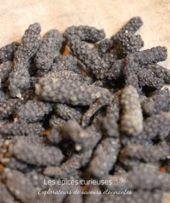 Poivre long du Népal / Poivre choco: - Les épices curieuses