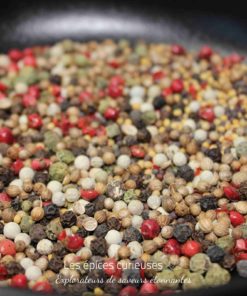 Mélange coloré de poivres variés et épices dans une poêle noire. Exaltation des sens et explosion de saveurs en cuisine.
