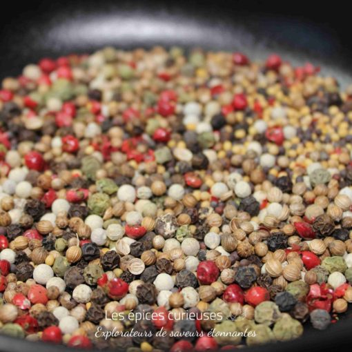 Mélange coloré de poivres variés et épices dans une poêle noire. Exaltation des sens et explosion de saveurs en cuisine.
