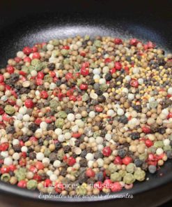 Mélange coloré de grains de poivre et d'épices dans une poêle. Parfait pour rehausser vos plats de saveurs épicées.