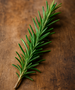 Brin de romarin frais sur une table en bois, idéal pour la cuisine méditerranéenne et les plats aromatiques.