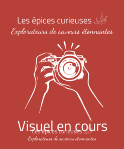 Anis étoilée Badiane - Les épices curieuses