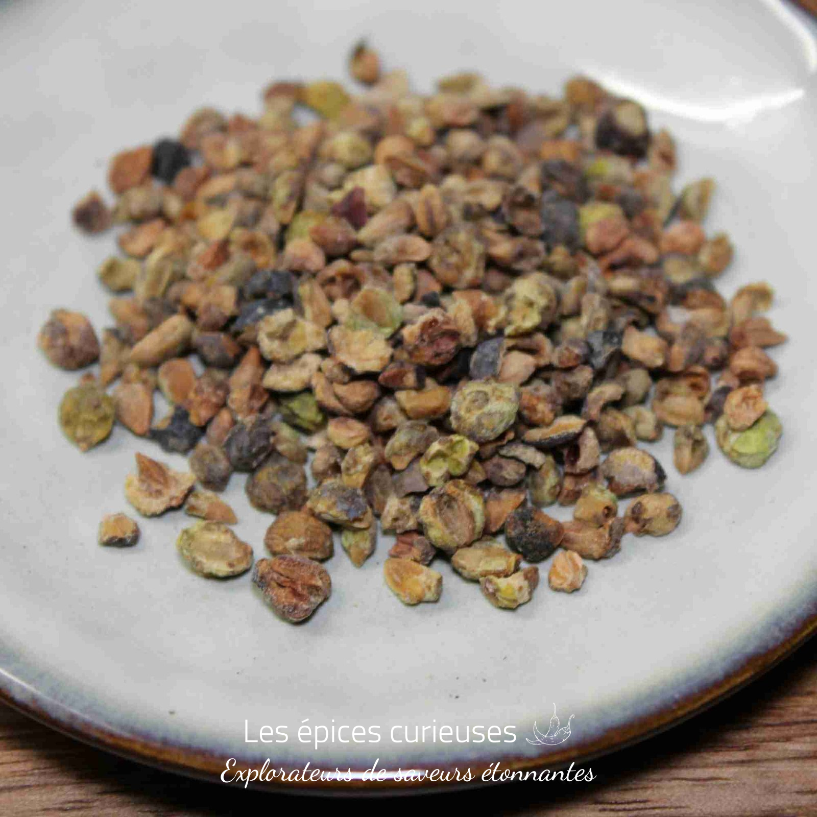 Baies de genièvre concassée – Les épices curieuses Baies de genièvre concassée - Les épices curieuses