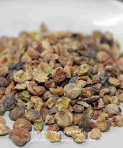 Graines de pastèque séchées éparpillées sur une surface blanche, idéales pour les collations ou la cuisine.