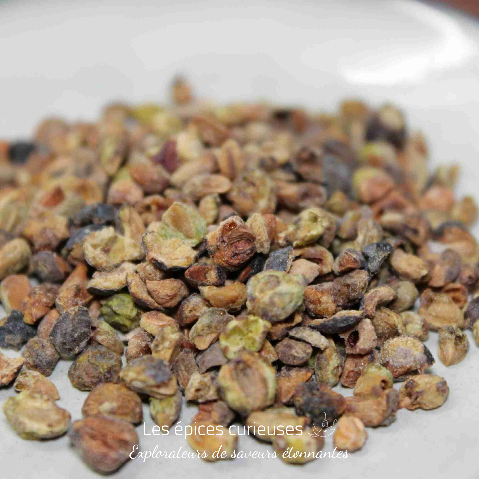 Baies de genievre concassé (5) Graines de pastèque séchées éparpillées sur une surface blanche, idéales pour les collations ou la cuisine.